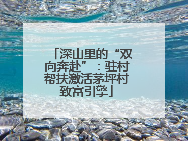 深山里的“双向奔赴”：驻村帮扶激活茅坪村致富引擎