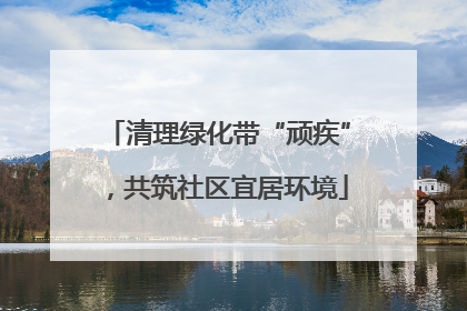 清理绿化带“顽疾”，共筑社区宜居环境
