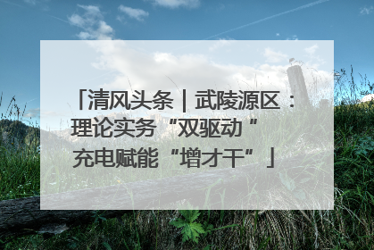 清风头条｜武陵源区：理论实务“双驱动 ” 充电赋能“增才干”