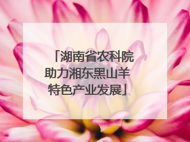 湖南省农科院助力湘东黑山羊特色产业发展