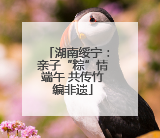 湖南绥宁：亲子“粽”情端午 共传竹编非遗