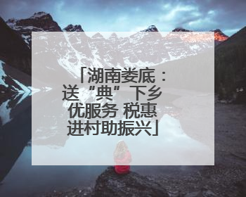 湖南娄底：送“典”下乡优服务 税惠进村助振兴