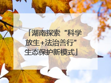 湖南探索“科学放生+法治善行”生态保护新模式