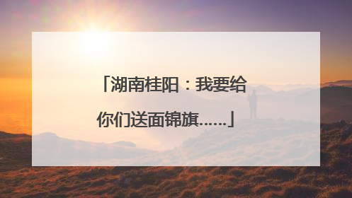 湖南桂阳：我要给你们送面锦旗……