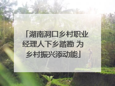 湖南洞口乡村职业经理人下乡踏勘 为乡村振兴添动能