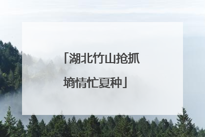 湖北竹山抢抓墒情忙夏种
