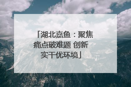 湖北嘉鱼：聚焦痛点破难题 创新实干优环境