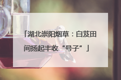 湖北崇阳烟草：白芨田间扬起丰收“号子”