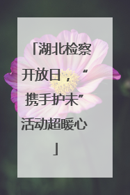 湖北检察开放日，“携手护未”活动超暖心