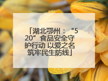 湖北鄂州：“520”食品安全守护行动 以爱之名筑牢民生防线
