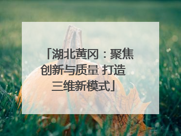 湖北黄冈：聚焦创新与质量 打造三维新模式