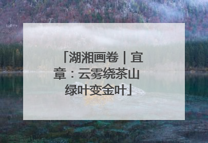 湖湘画卷｜宜章：云雾绕茶山 绿叶变金叶