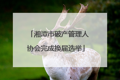 湘潭市破产管理人协会完成换届选举