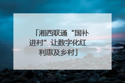 湘西联通“国补进村”让数字化红利惠及乡村