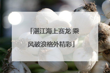 湛江海上赛龙 乘风破浪格外精彩