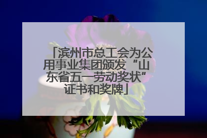滨州市总工会为公用事业集团颁发“山东省五一劳动奖状”证书和奖牌
