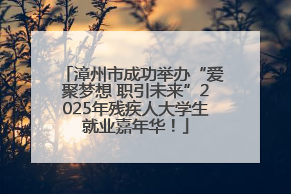 漳州市成功举办“爱聚梦想 职引未来”2025年残疾人大学生就业嘉年华！