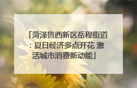 菏泽鲁西新区岳程街道：夏日经济多点开花 激活城市消费新动能