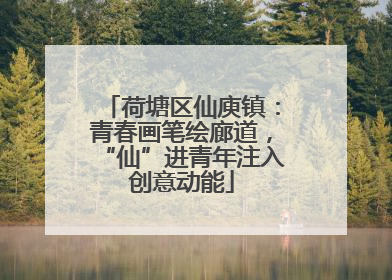荷塘区仙庾镇：青春画笔绘廊道，“仙”进青年注入创意动能