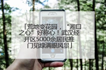 荒地变花园，“湘口之心”好称心！武汉经开区5000余居民推门见绿满眼风景