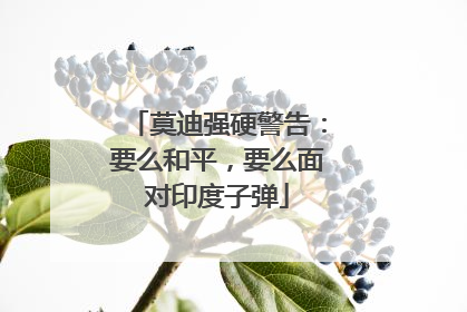 莫迪强硬警告：要么和平，要么面对印度子弹