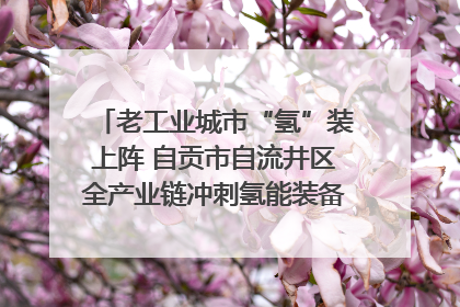 老工业城市“氢”装上阵 自贡市自流井区全产业链冲刺氢能装备制造新高地｜美好生活有“盐”味