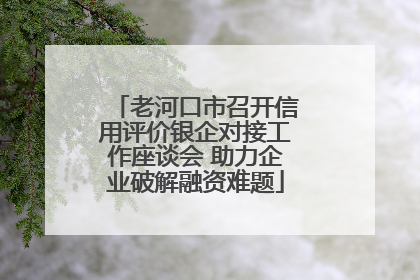 老河口市召开信用评价银企对接工作座谈会 助力企业破解融资难题