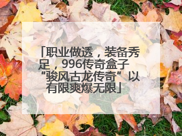 职业做透，装备秀足，996传奇盒子“骏风古龙传奇”以有限爽爆无限