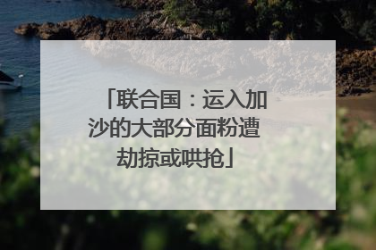 联合国：运入加沙的大部分面粉遭劫掠或哄抢