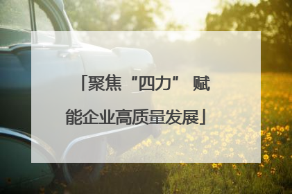 聚焦“四力” 赋能企业高质量发展