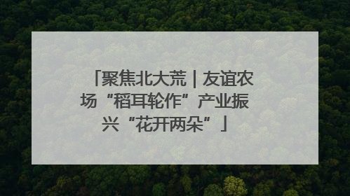 聚焦北大荒｜友谊农场“稻耳轮作”产业振兴“花开两朵”