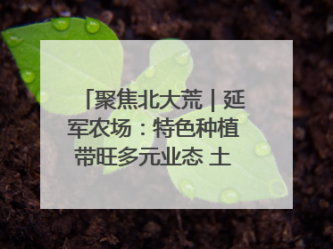 聚焦北大荒｜延军农场：特色种植带旺多元业态 土地焕发新活力