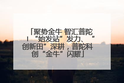聚势金牛 智汇普陀〡“始发站”发力、“创新田”深耕，普陀科创“金牛”闪耀