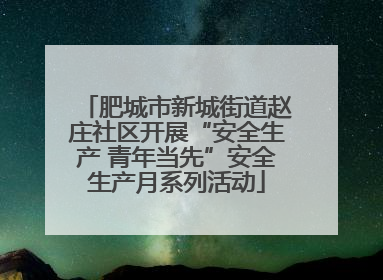 肥城市新城街道赵庄社区开展“安全生产 青年当先”安全生产月系列活动