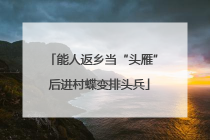 能人返乡当“头雁” 后进村蝶变排头兵