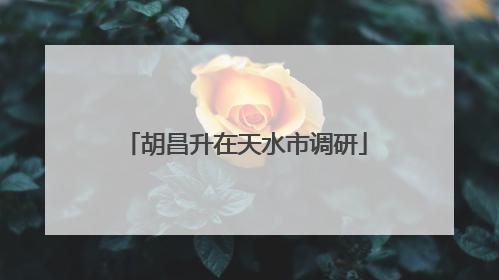 胡昌升在天水市调研