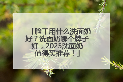 脸干用什么洗面奶好？洗面奶哪个牌子好，2025洗面奶值得买推荐！