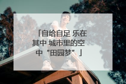 自给自足 乐在其中 城市里的空中“田园梦”