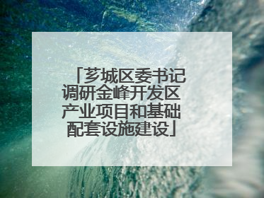 芗城区委书记调研金峰开发区产业项目和基础配套设施建设