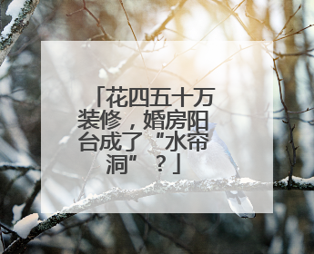 花四五十万装修，婚房阳台成了“水帘洞”？