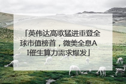 英伟达高歌猛进重登全球市值榜首，微美全息AI催生算力需求爆发