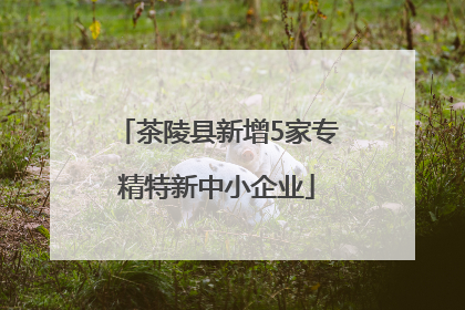 茶陵县新增5家专精特新中小企业