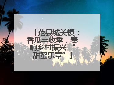 范县城关镇：香瓜丰收季，奏响乡村振兴 “甜蜜乐章”