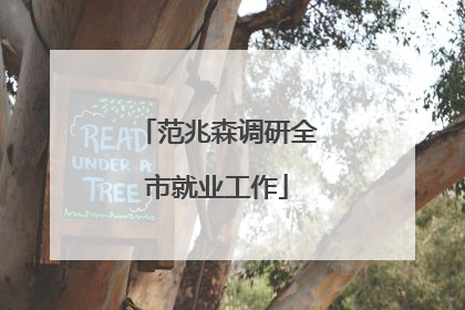 范兆森调研全市就业工作