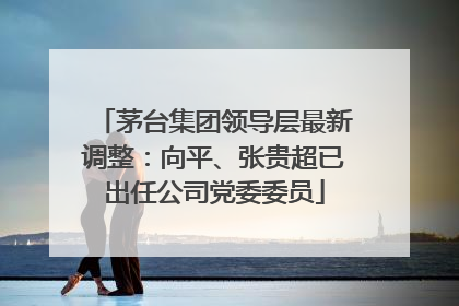 茅台集团领导层最新调整：向平、张贵超已出任公司党委委员