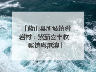 蓝山县所城镇舜岩村：紫茄喜丰收 畅销粤港澳