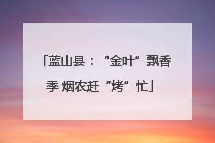 蓝山县：“金叶”飘香季 烟农赶“烤”忙
