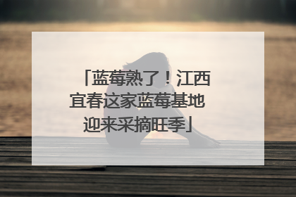 蓝莓熟了！江西宜春这家蓝莓基地迎来采摘旺季
