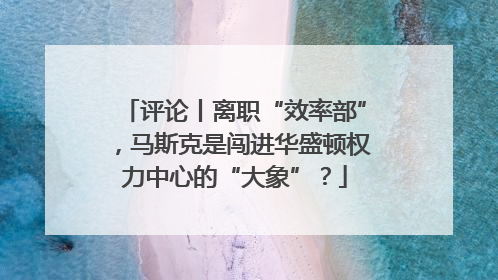 评论丨离职“效率部”，马斯克是闯进华盛顿权力中心的“大象”？