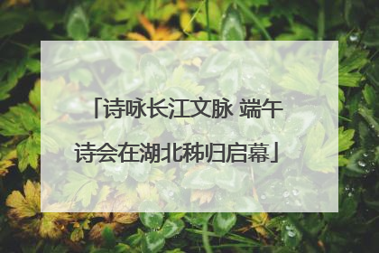 诗咏长江文脉 端午诗会在湖北秭归启幕